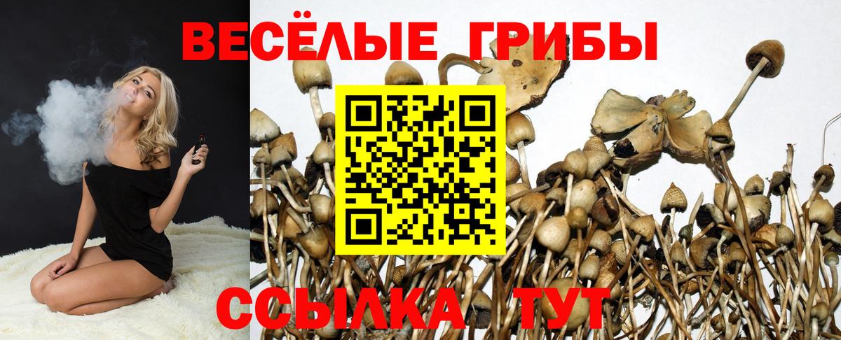Галлюциногенные грибы Magic Shrooms  Псилоцибиновые грибы Psilocybe  Конаково  Вход с VPN 