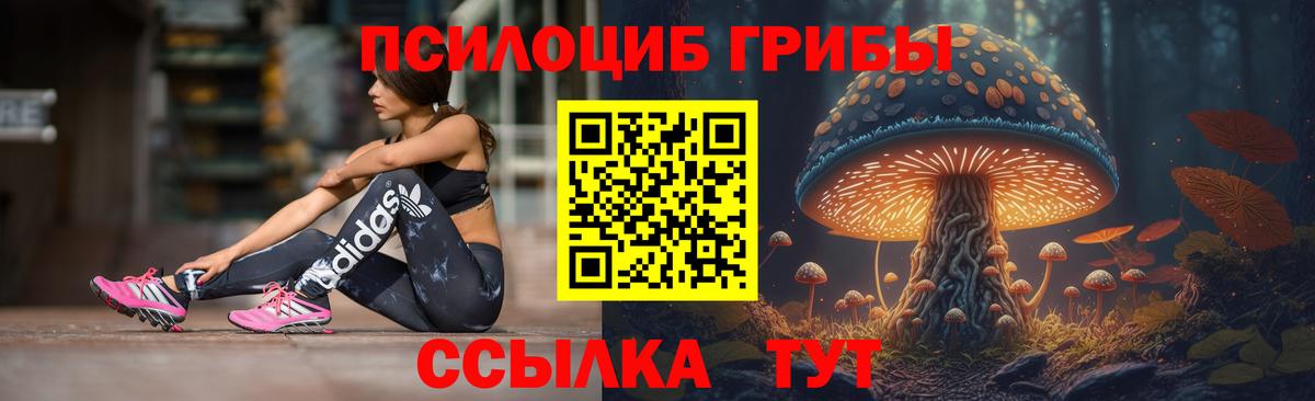 Псилоцибиновые грибы ЛСД Конаково